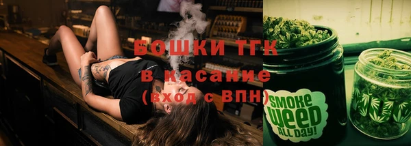 ПСИЛОЦИБИНОВЫЕ ГРИБЫ Белокуриха