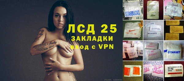 ПСИЛОЦИБИНОВЫЕ ГРИБЫ Белокуриха