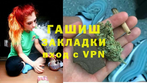 ПСИЛОЦИБИНОВЫЕ ГРИБЫ Белокуриха