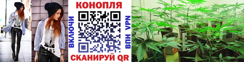 Бошки марихуана AK-47  где купить наркоту  Чистополь 